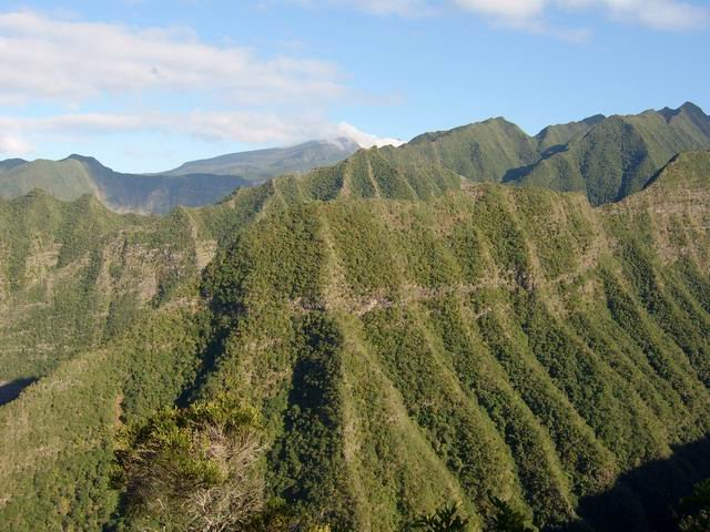 La Crête du Bras Long cache la Crête du Bloc. A l'ombre, la ravine du Bras Long.
