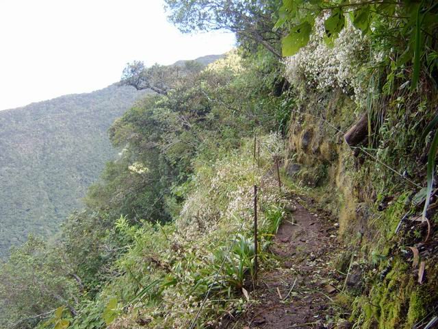 Le sentier de la Grande Jument, au-dessus des sources du Bras Long.