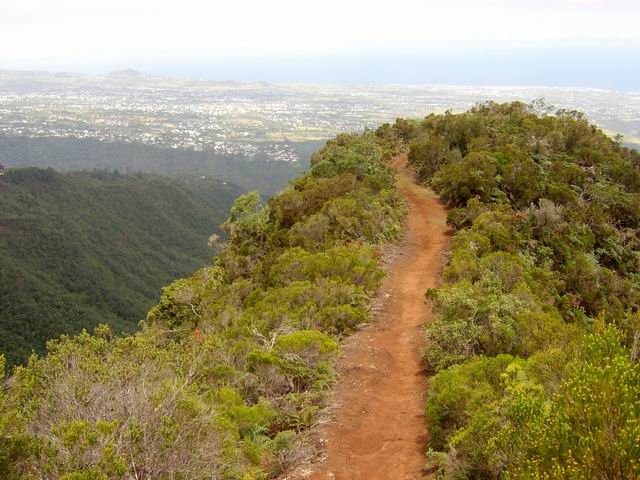 Le sentier de la Grande Jument avec vue sur le Tampon et la côte.