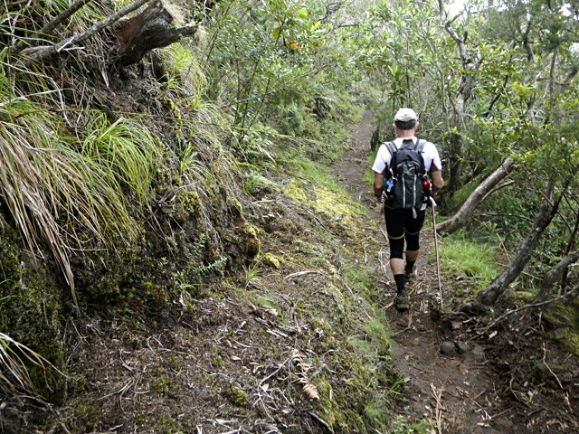 Nouvelle portion plate
