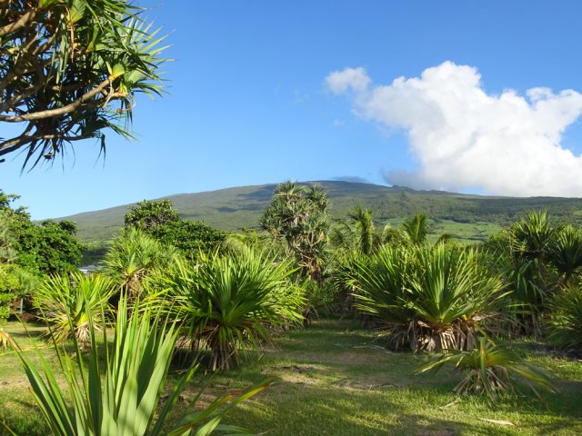 L'aire de repos près du parking de la Rue de la Pompe