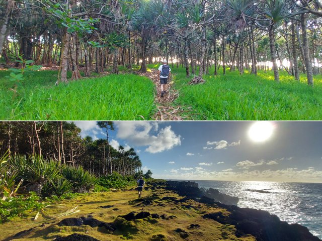 Passer sur le sentier sous les filaos ou en bord de mer