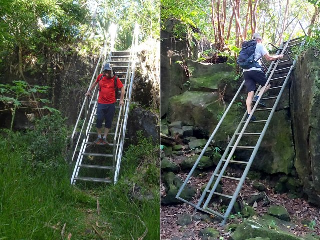 Les deux échelles permettant de franchir les petites falaises basaltiques