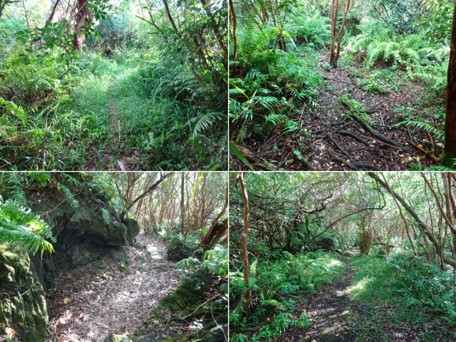 Quelques exemples de ce joli sentier littoral