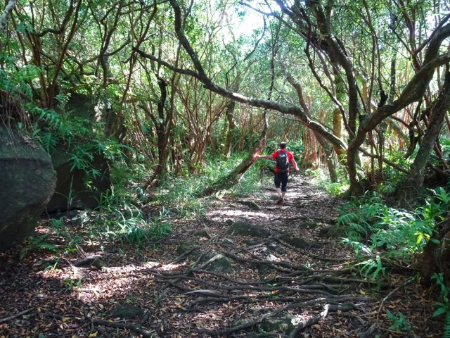 Quelques passages sur racines