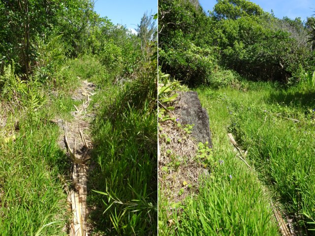 Même peu entretenu, le sentier est toujours visible