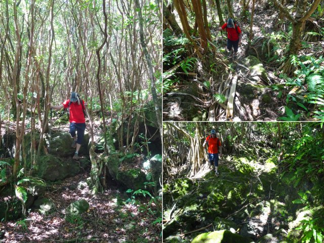 Les derniers hectomètres sont plus rocheux avec de hautes marches