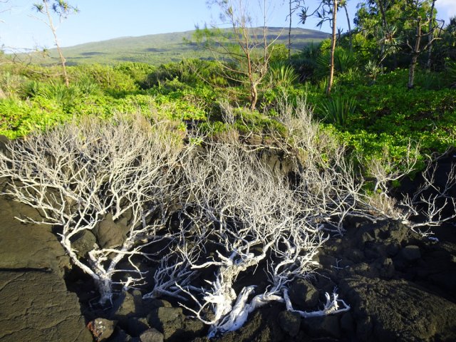 Quelques panoramas en direction des sommets