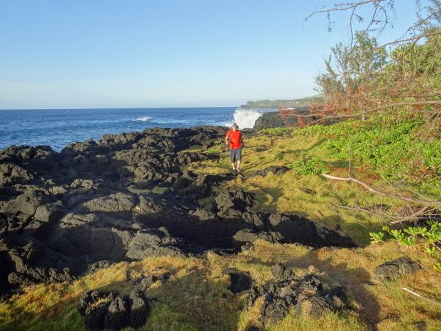 Superbe petit sentier sur les plaques de gazon pique fesses