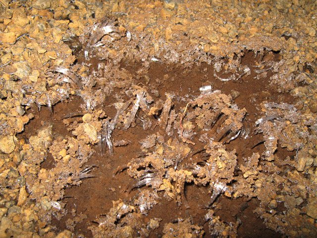 Tôt le matin, c'est sur la glace que l'on chemine bruyamment.
