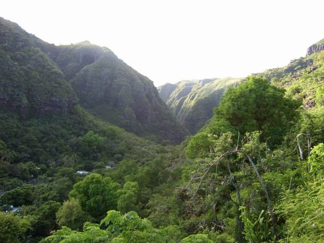La vallée de la Ravine de la Grande Chaloupe vers l'amont