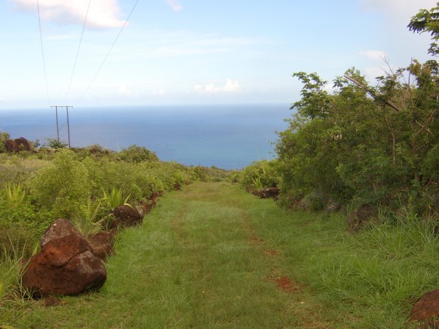 L'interminable montée se couvre d'herbe