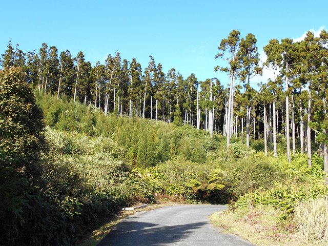 Emplacement à droite de la route pour garer un véhicule