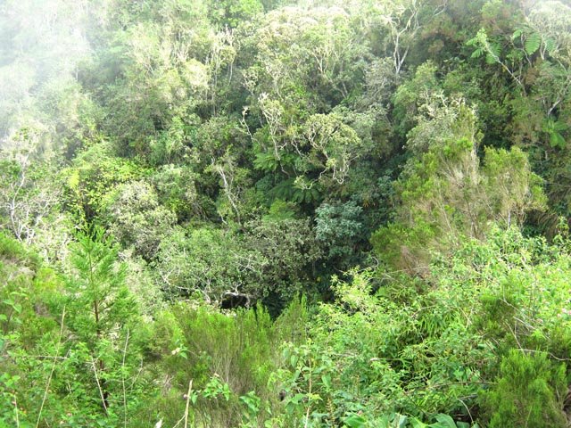 La même près du kiosque
