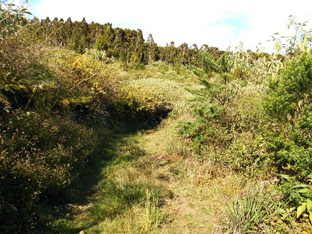 Début de la piste qui revient vers la route