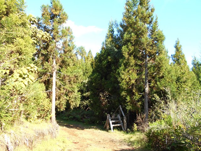 Passage près des anciennes cultures
