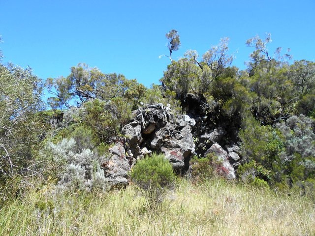 Une zone rocheuse borde la clairière