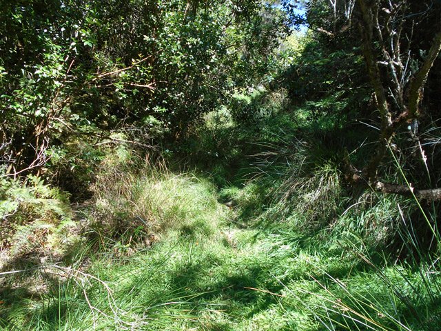 A l'ombre, l'herbe devient plus verte
