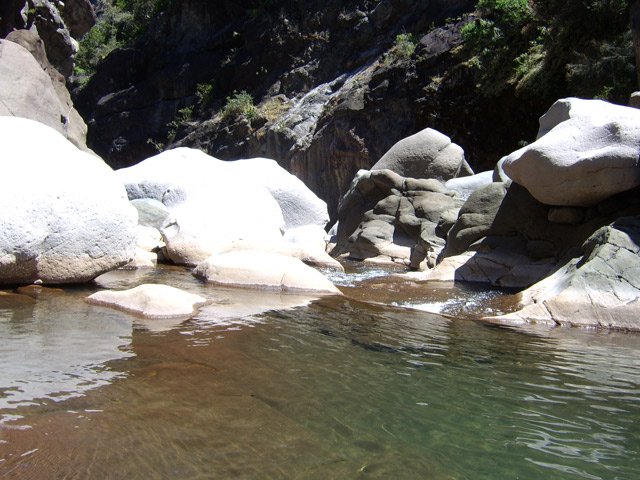 Egalement de petits bassins d'eau claire et fraîche