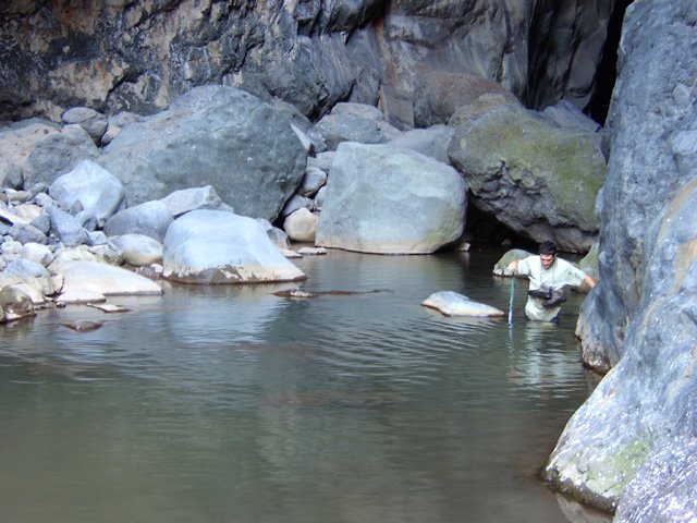 Il y a parfois beaucoup d'eau mais très peu de courant