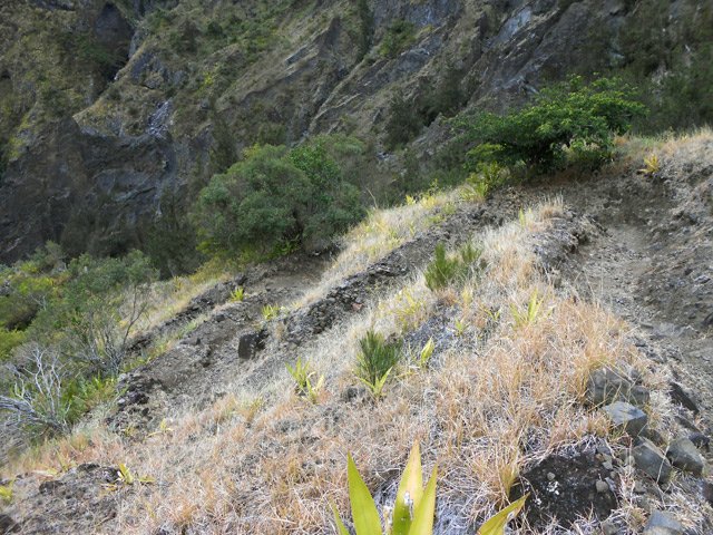 Le sentier qui redescend en lacets vers le Bras Rouge