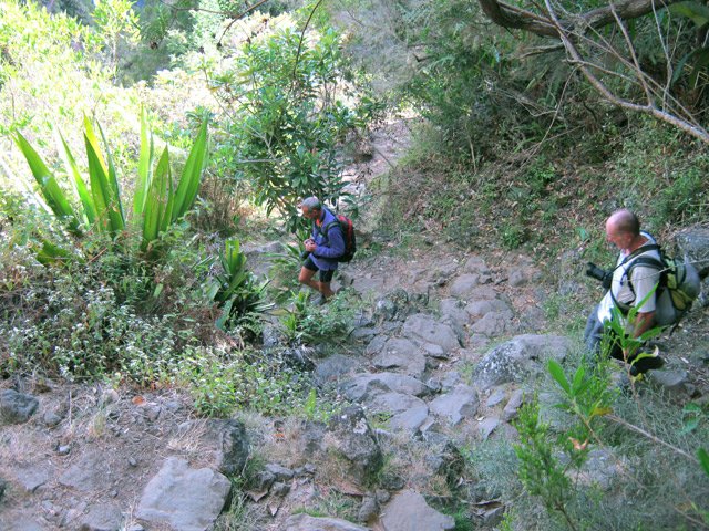 Une descente assez forte du Maïdo vers la Brèche