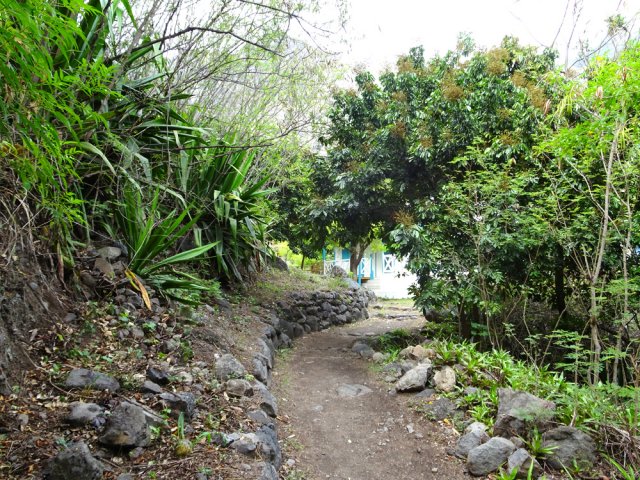 Arrivée au dispensaire de Cayenne