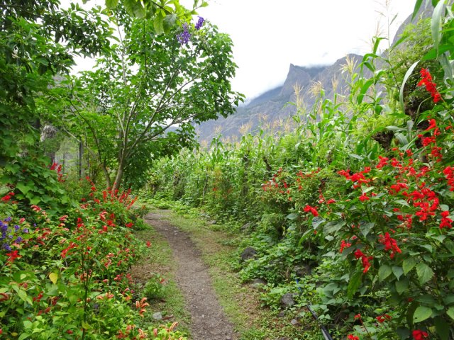 La traversée fleurie est un pur plaisir