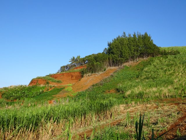 La colline est creusée pour y chercher de la terre ou y pratiquer des plantations