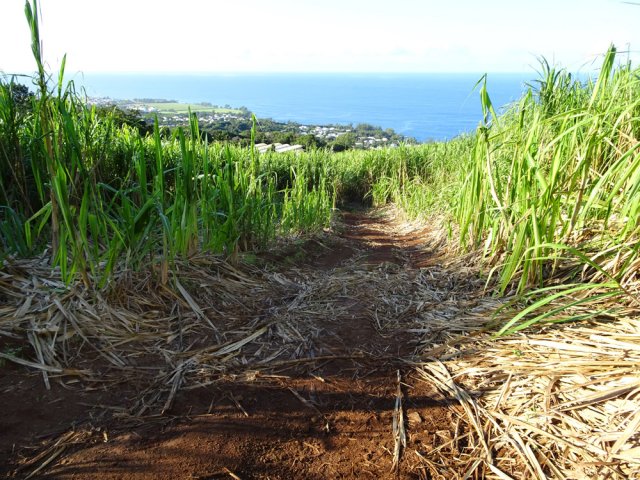 Le raccourci entre deux routes