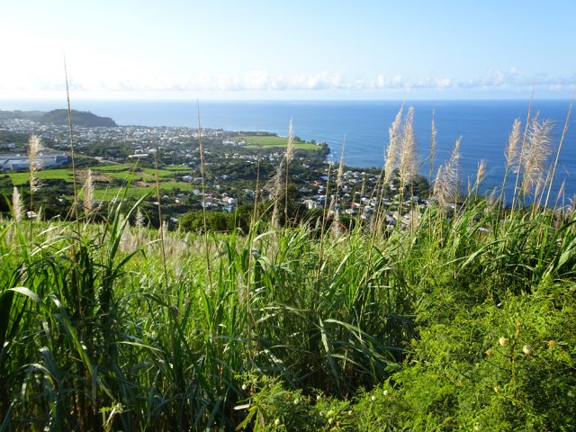 Nombreux points de vue sur Saint-Joseph et Manapany les Bains