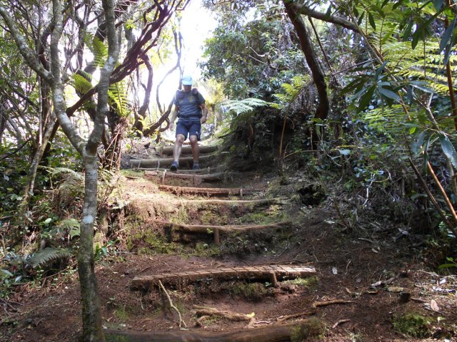 Début de la descente sur un sentier constitué de marches