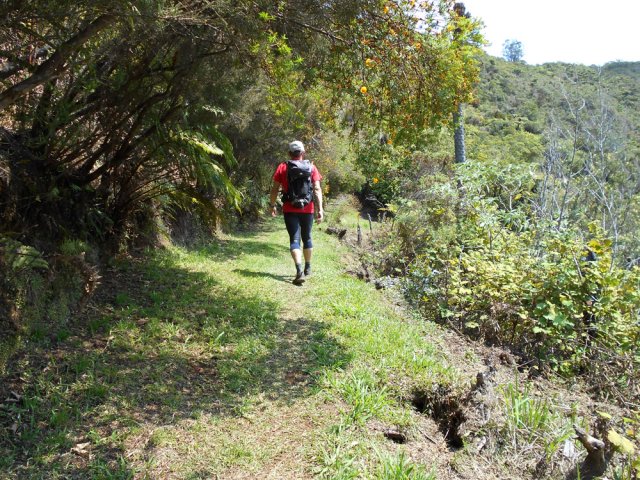 Une des rares portions plates du sentier bordé de vignes marronnes