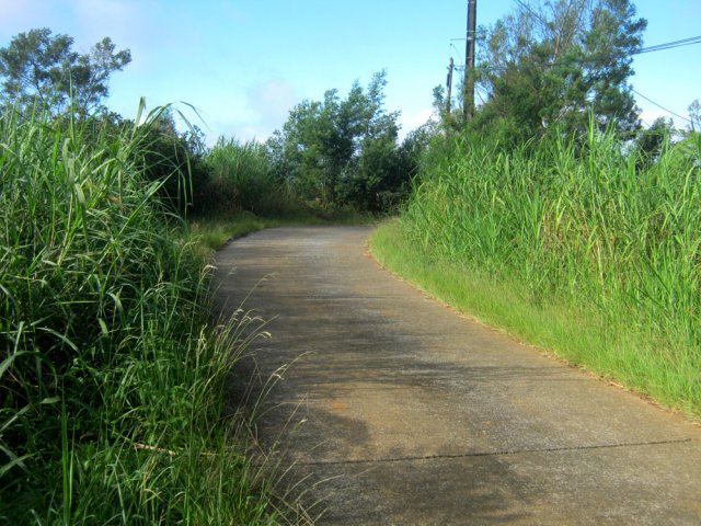 Très peu de circulation sur cette agréable petite route en descente