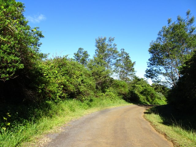Début de la descente par le Chemin de la Forêt