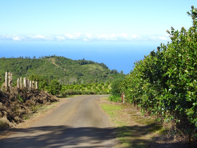 Le chemin est agréable entre vergers et points de vue