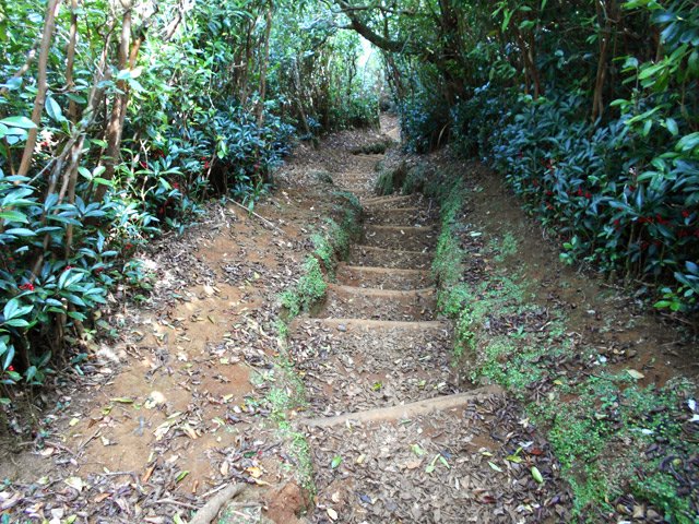 Le sentier de la Ligne des Mille débute par une longue descente sur marches