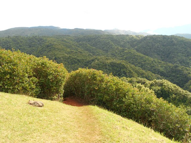 L'aire de décollage des parapentes et la suite du sentier qui débute dans les goyaviers