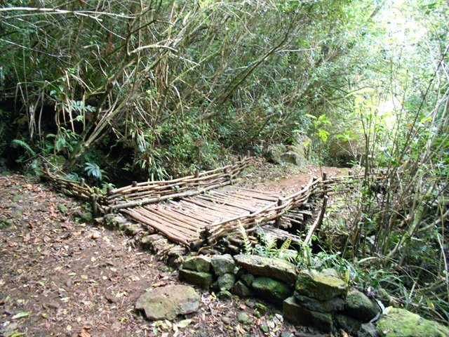 Passerelle sur le Grand Bras, proche de la source et de la Cascade Mottet