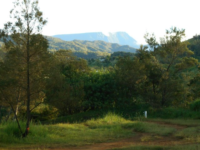 Le Morne Langevin à l'horizon et une idée de la végétation