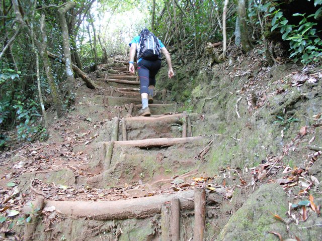 La boucle des Margosiers avec ses hautes marches est assez sportive