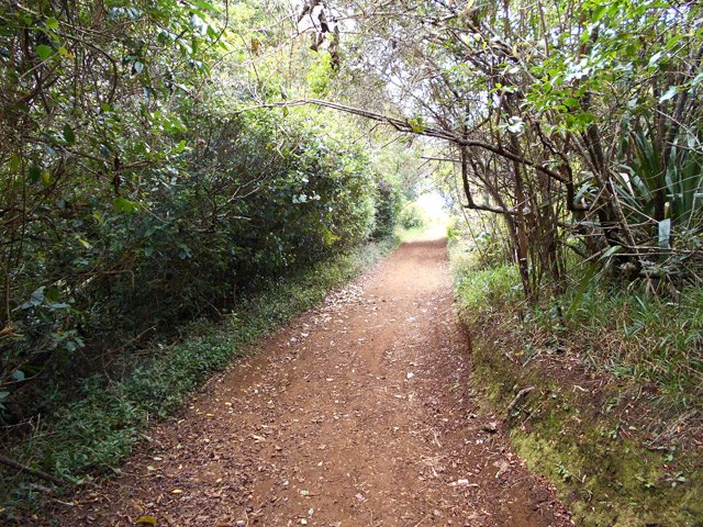 Le large sentier entre la boucle des Margosiers et la petite route qui redescend vers le Relais