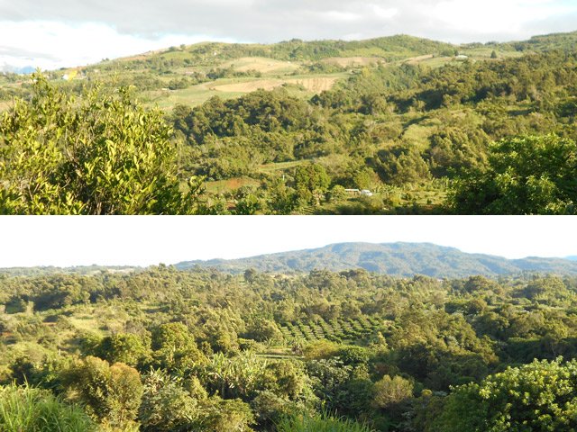 Les collines alentour, couvertes de prairies, cultures ou bois