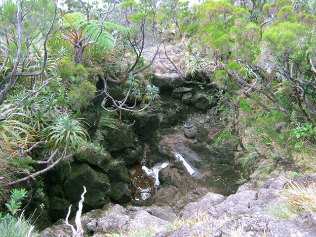Des ravines sont plus sauvages que d'autres