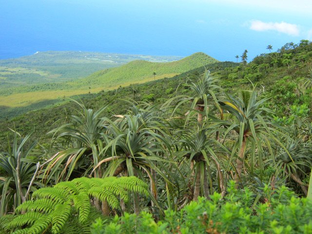 Vue sur l'océan et une mer de pimpins