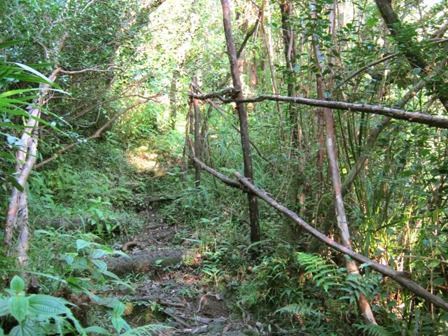 Une autre de terre et de marches en bois