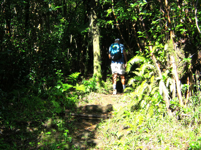 Une idée du sentier au départ, proche de la passerelle aluminium