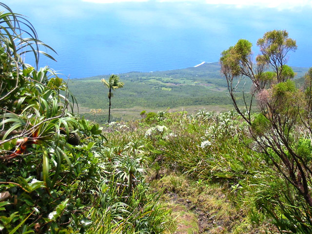 Quelques panoramas sur l'océan