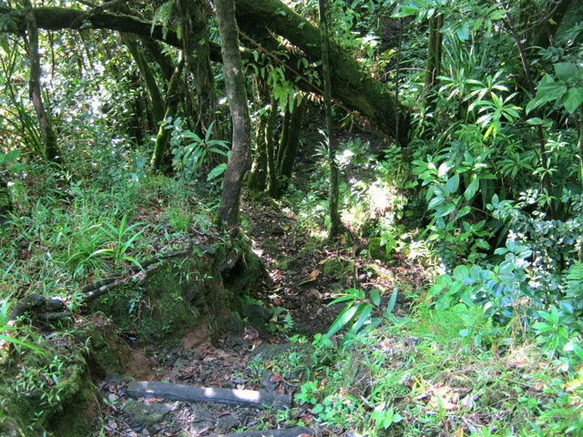 Plus haut, le sentier est encore très beau
