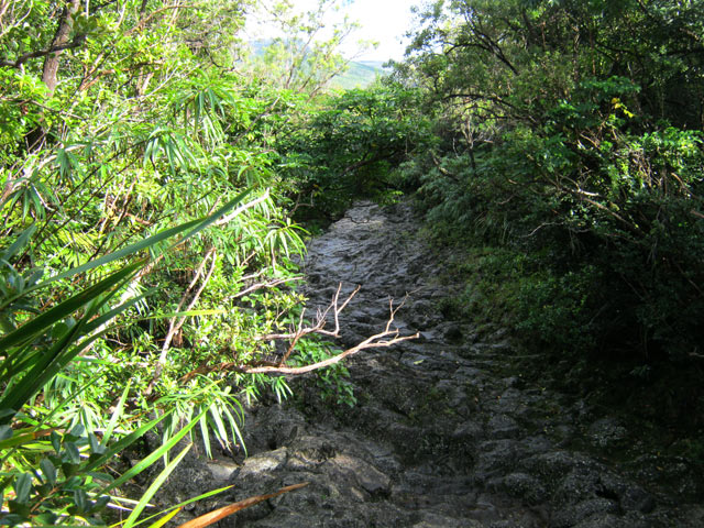 Un affluent de la Ravine Pont Rouge